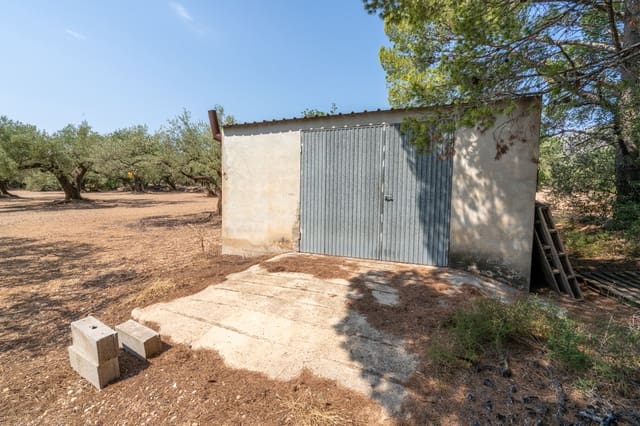 Finca/Herregård til salgs i Mas de Barberans - € 43 000 (Ref: 9191068)