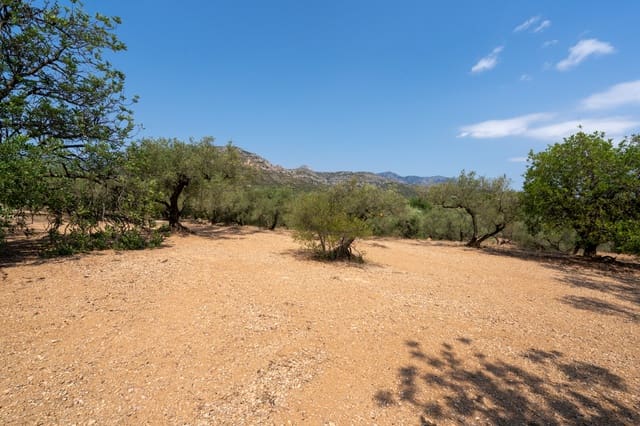 Finca/Herregård til salgs i Mas de Barberans - € 43 000 (Ref: 9191068)