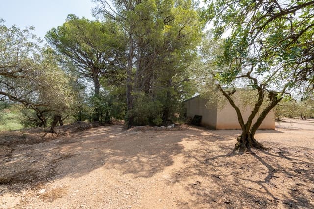 Maalaistalo myytävänä paikassa Mas de Barberans - 43 000 € (Ref: 9191068)