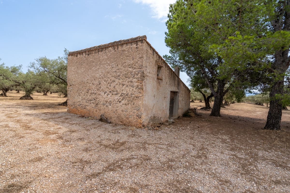 Finca/Landehus til salg i Mas de Barberans - € 50.000 (Ref: 9191320)