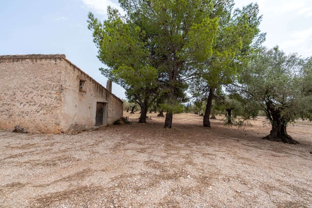 Finca/Landehus til salg i Mas de Barberans - € 50.000 (Ref: 9191320)