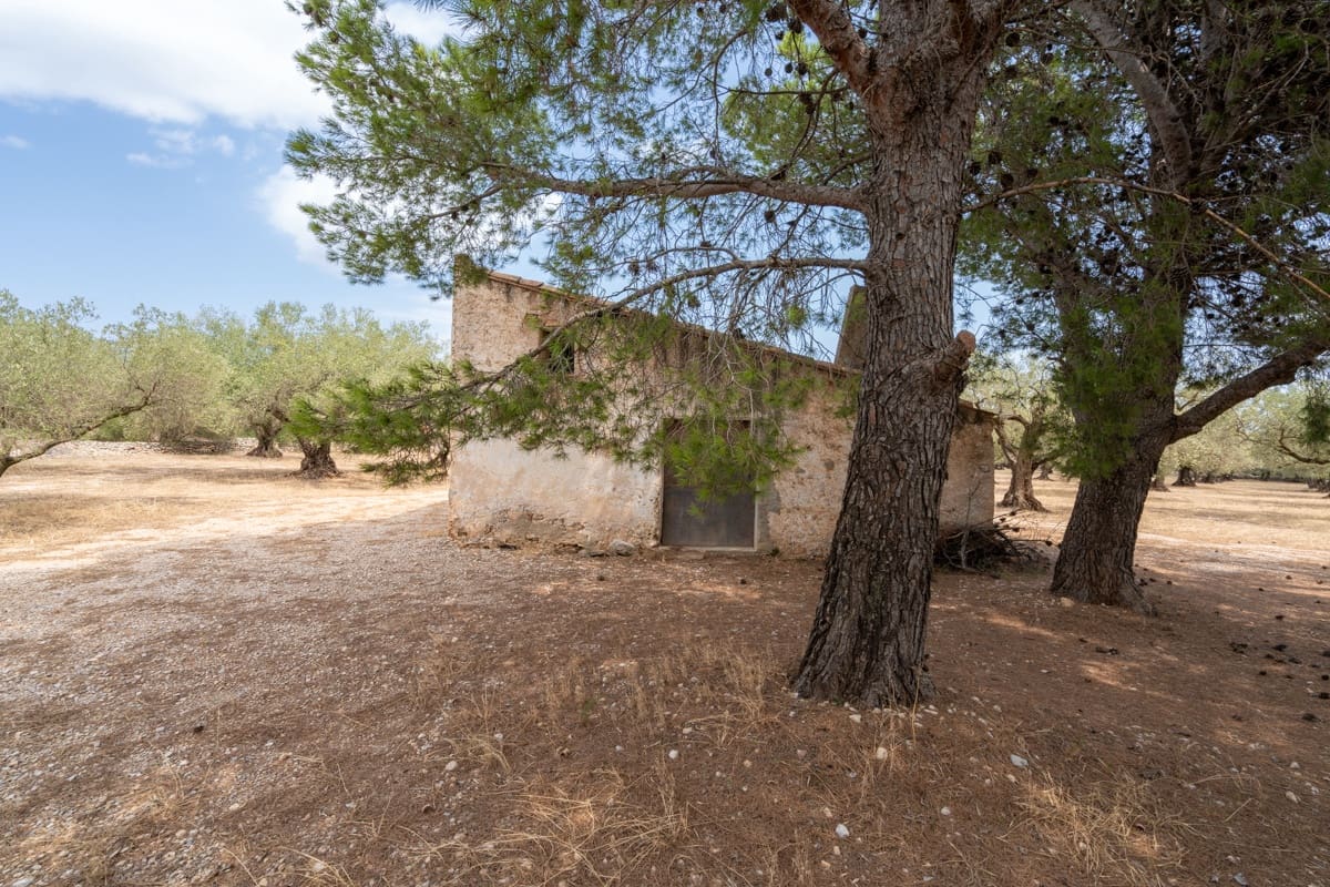 Finca/Landehus til salg i Mas de Barberans - € 50.000 (Ref: 9191320)