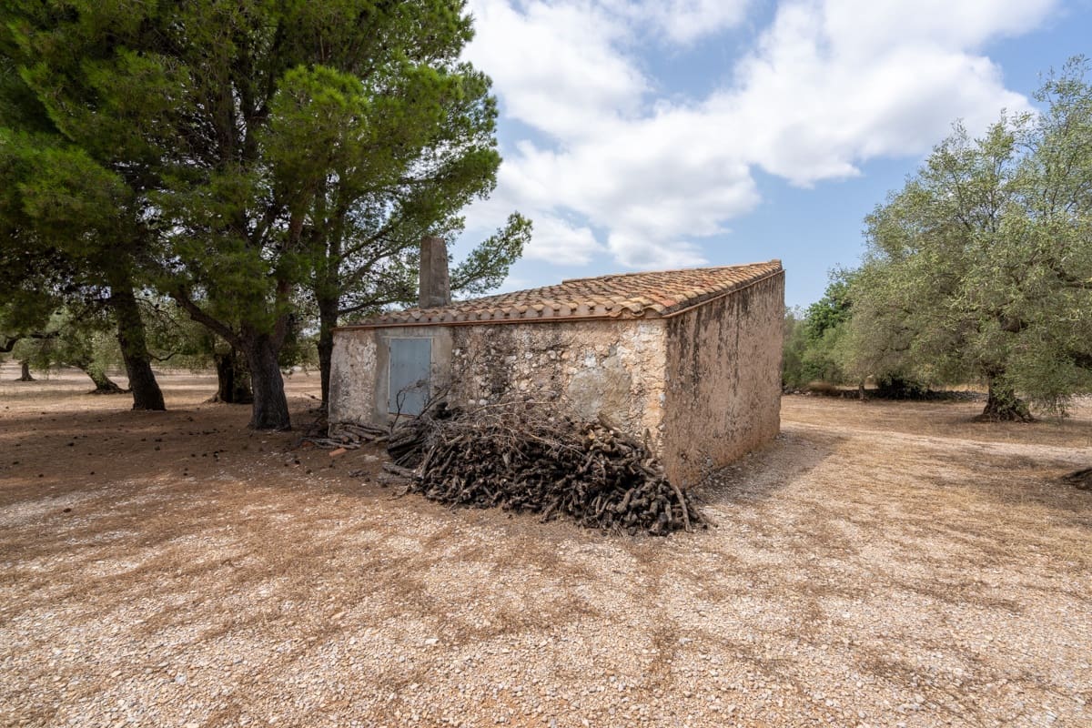 Finca/Landehus til salg i Mas de Barberans - € 50.000 (Ref: 9191320)