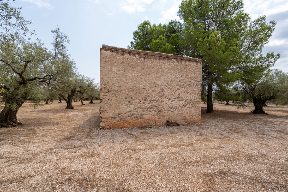 Finca/Landehus til salg i Mas de Barberans - € 50.000 (Ref: 9191320)