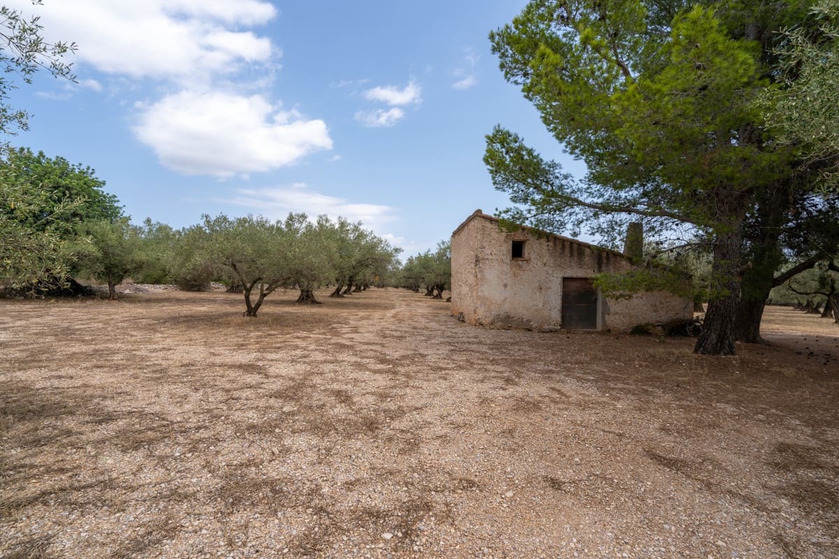 Finca/Landehus til salg i Mas de Barberans - € 50.000 (Ref: 9191320)