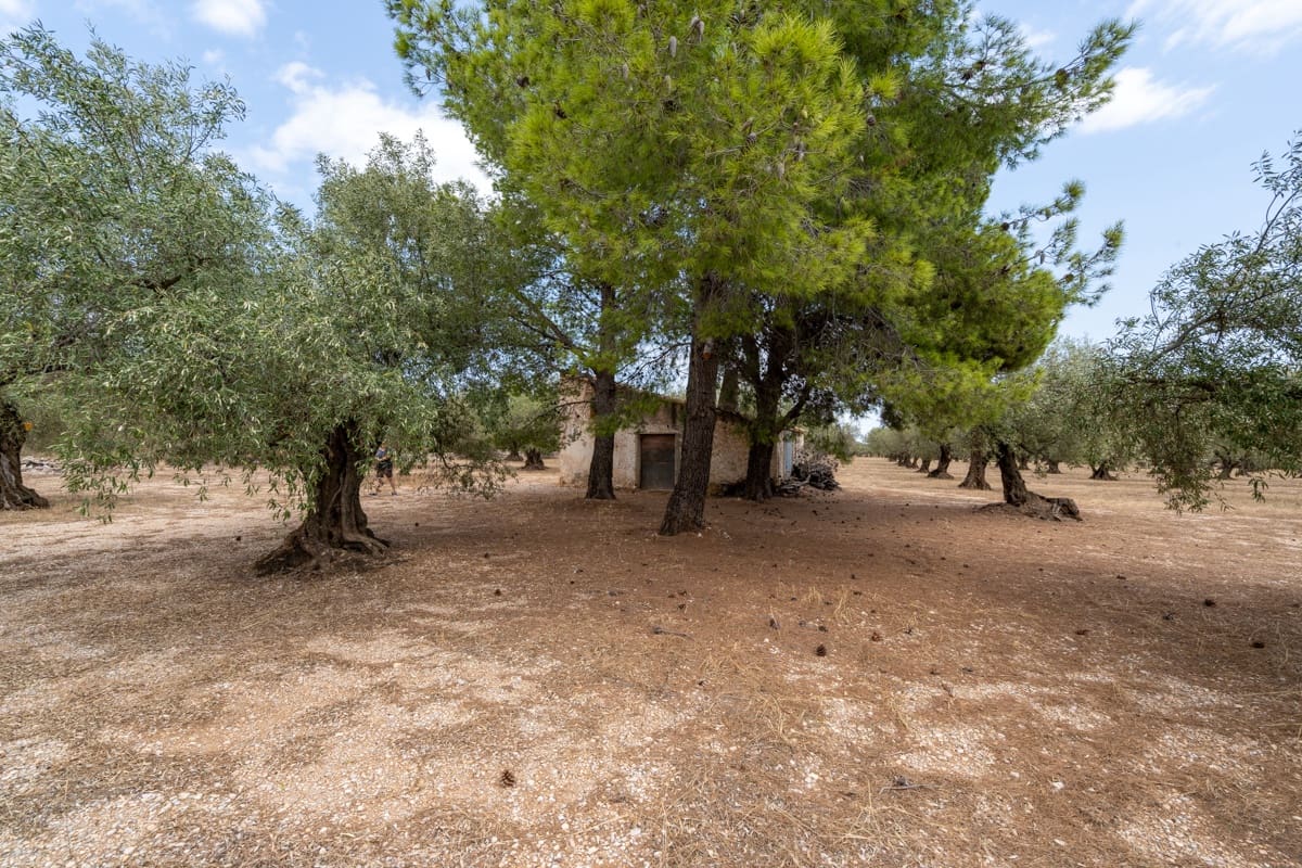 Finca/Landehus til salg i Mas de Barberans - € 50.000 (Ref: 9191320)