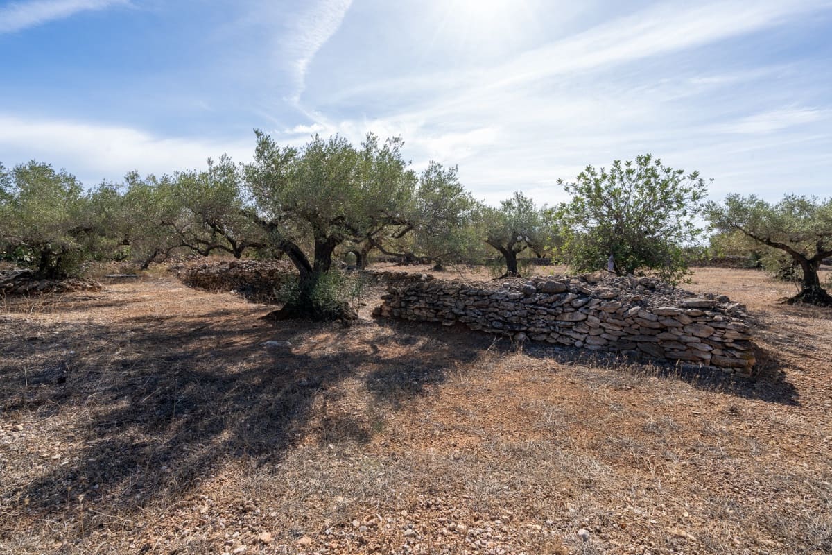 Finca/Landehus til salg i Camarles - € 40.000 (Ref: 9204163)