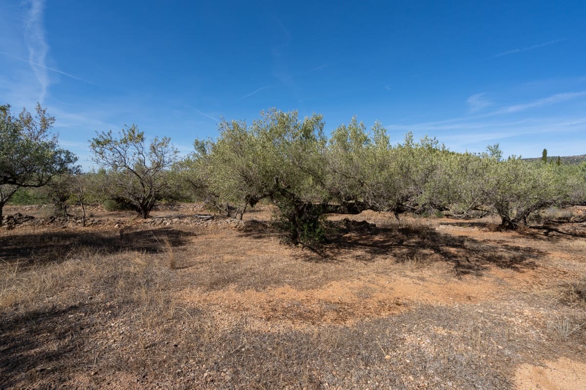 Finca/Landehus til salg i Camarles - € 40.000 (Ref: 9204163)