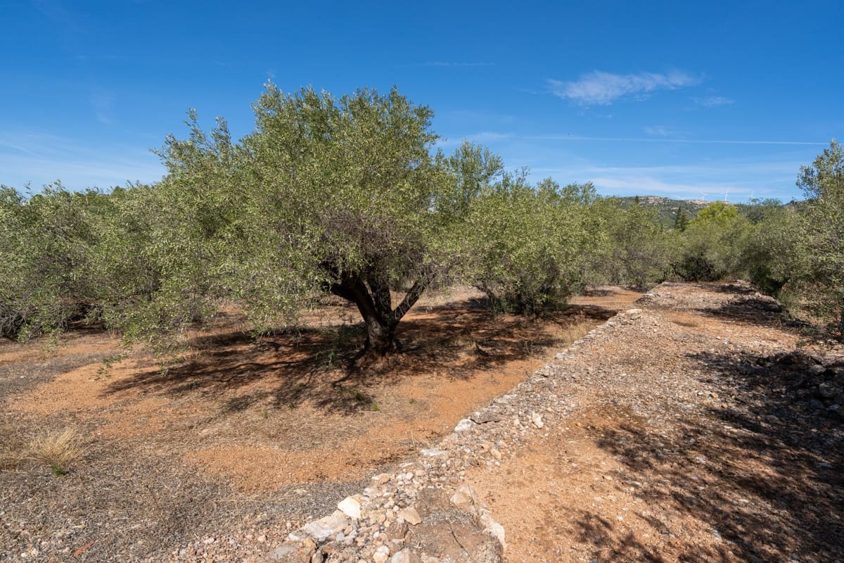 Finca/Landehus til salg i Camarles - € 40.000 (Ref: 9204163)