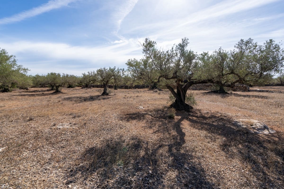 Finca/Landehus til salg i Camarles - € 40.000 (Ref: 9204163)