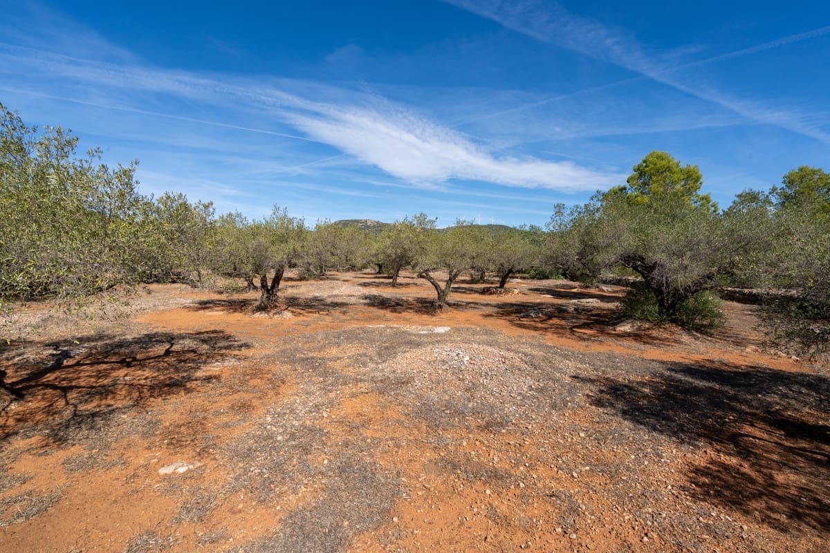 Finca/Landehus til salg i Camarles - € 40.000 (Ref: 9204163)