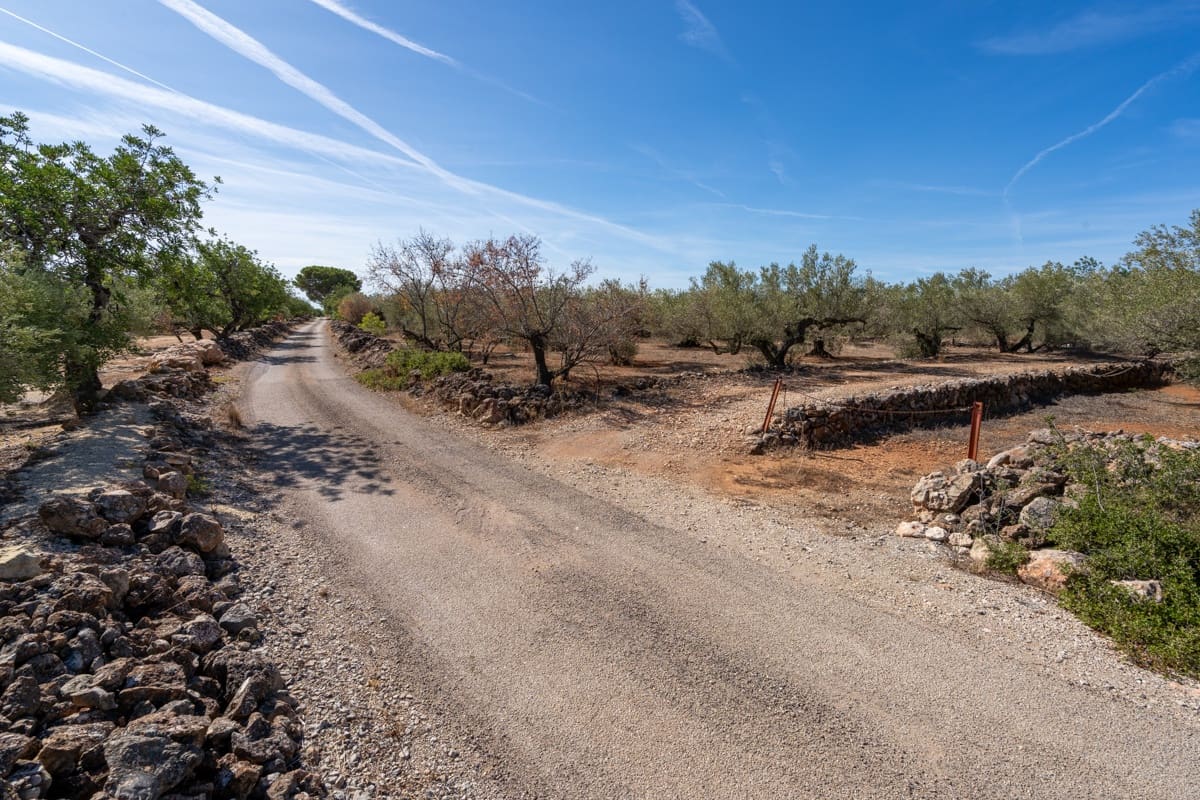 Finca/Landehus til salg i Camarles - € 40.000 (Ref: 9204163)