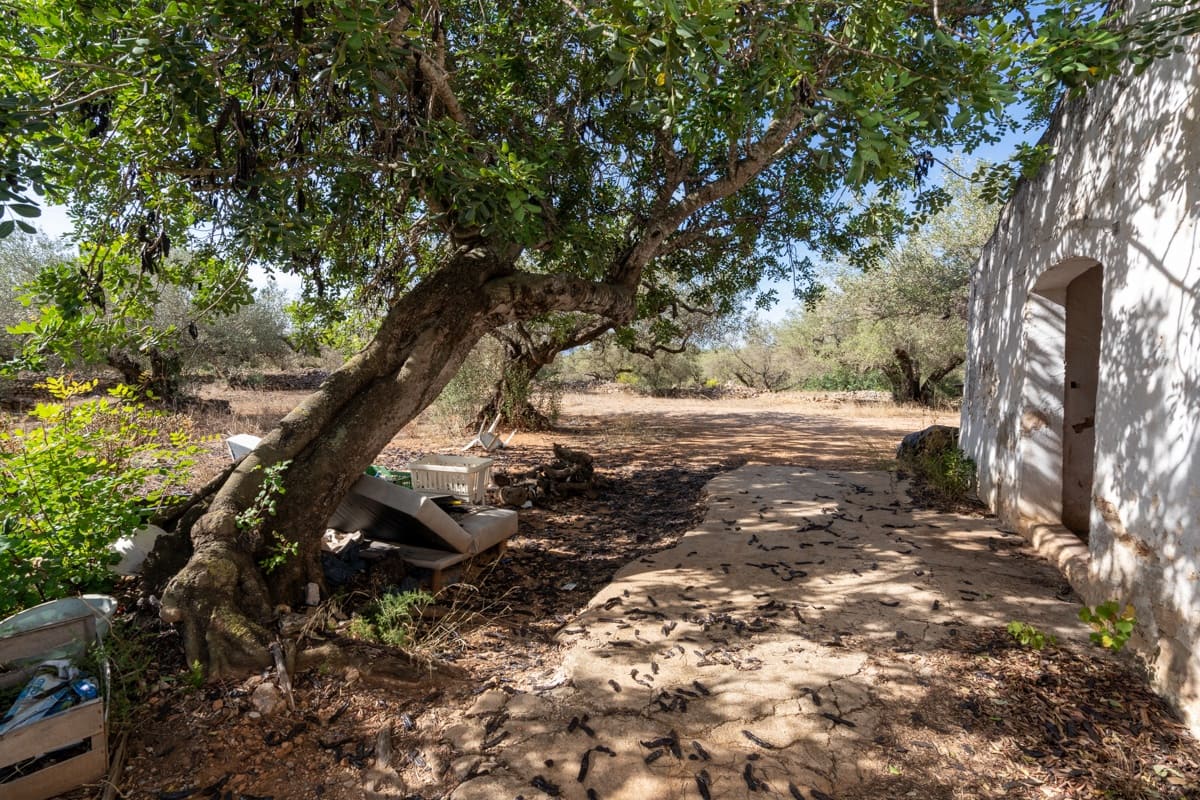 Finca/Landehus til salg i Camarles - € 40.000 (Ref: 9204163)