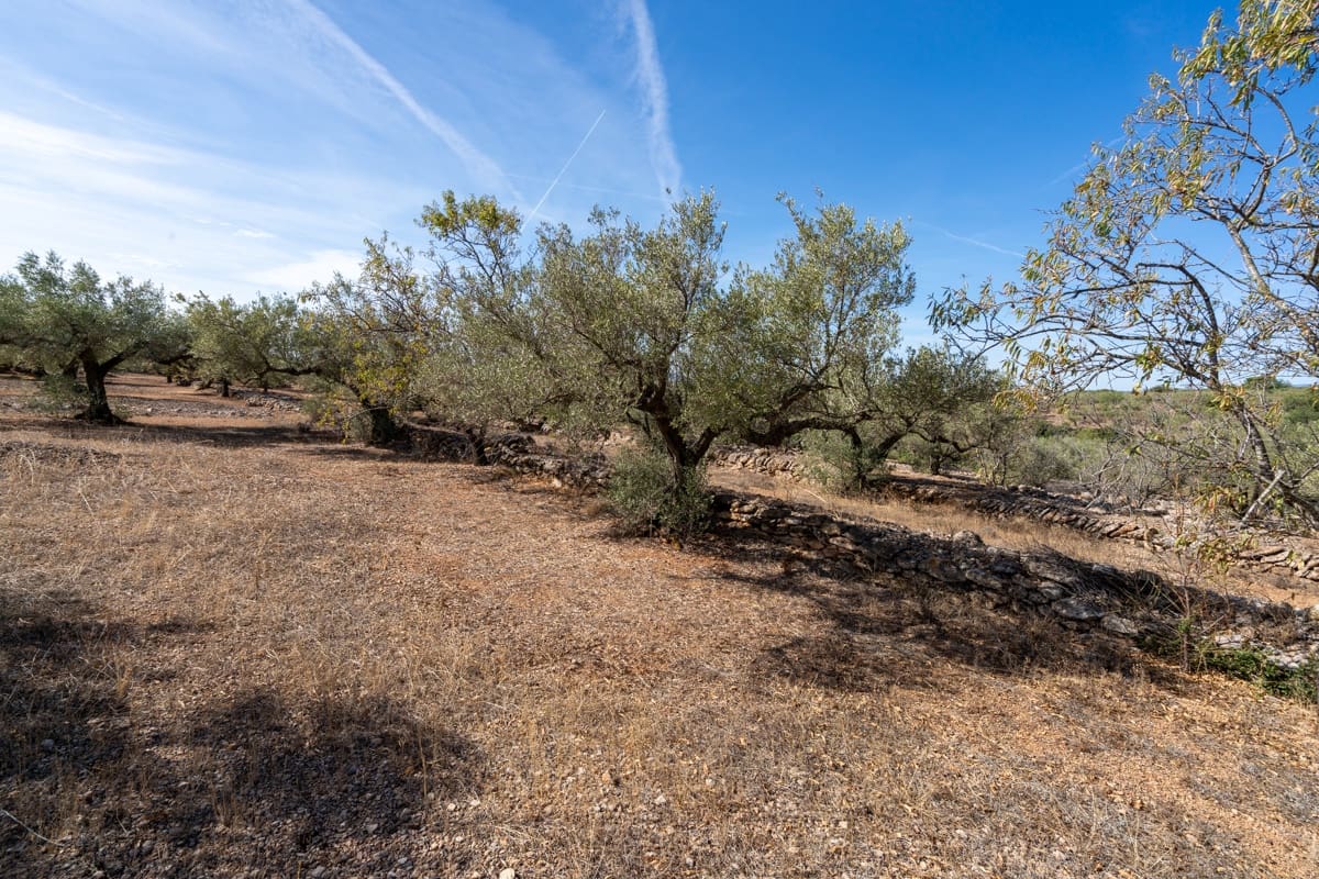 Finca/Landehus til salg i Camarles - € 40.000 (Ref: 9204163)