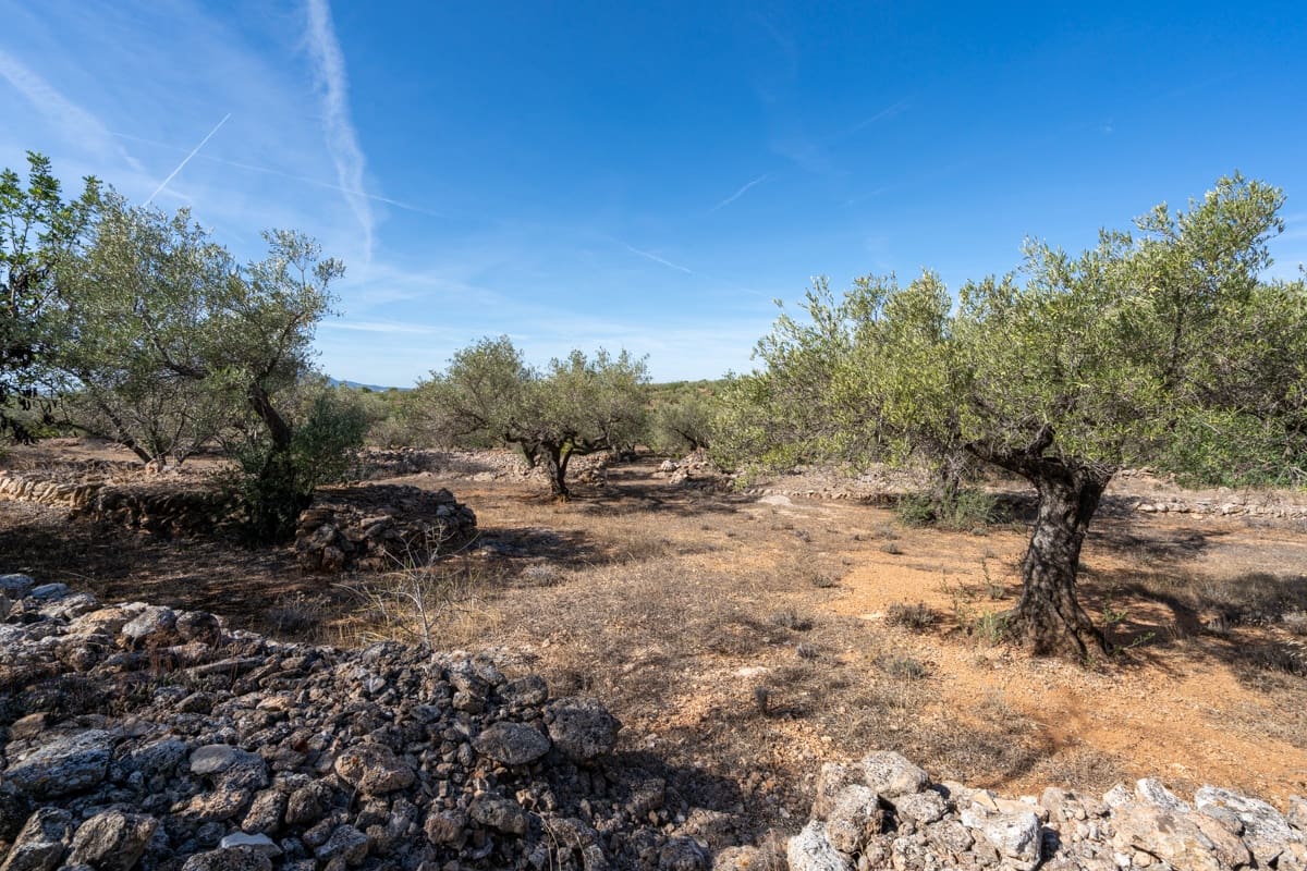 Finca/Landehus til salg i Camarles - € 40.000 (Ref: 9204163)