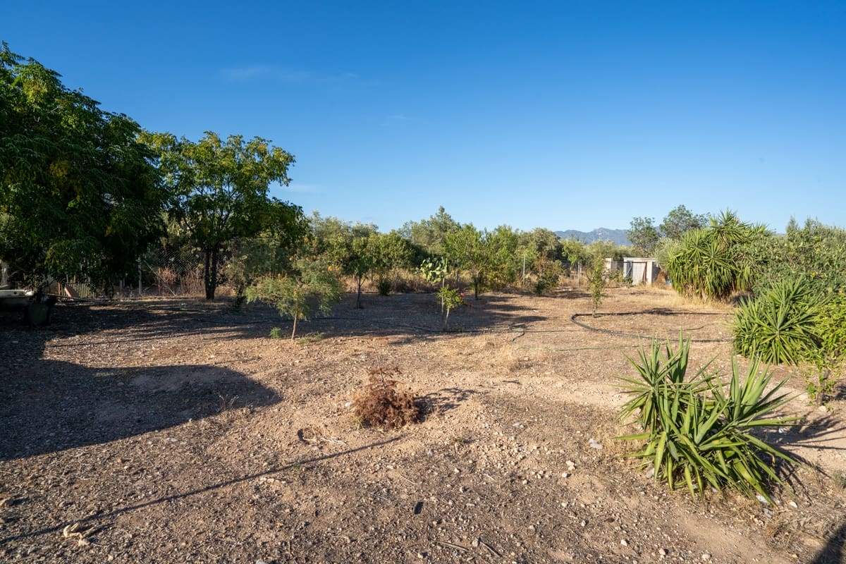 5 soveværelse Finca/Landehus til salg i Xerta - € 270.000 (Ref: 9209293)