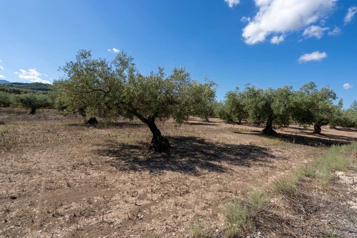Finca/Maison de Campagne à vendre à La Galera - 10 000 € (Ref: 9216768)