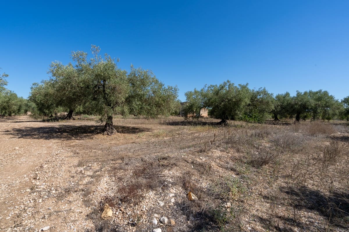 Finca/Maison de Campagne à vendre à La Galera - 10 000 € (Ref: 9216768)