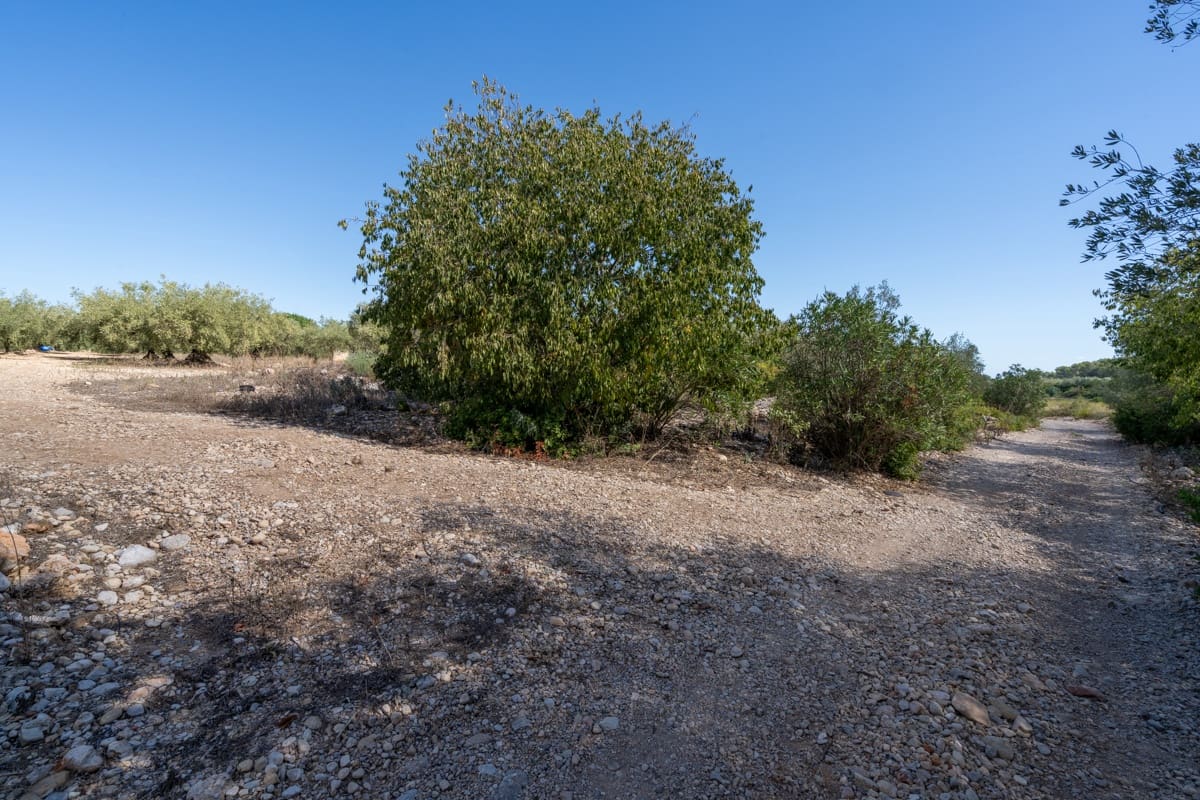 Finca/Maison de Campagne à vendre à La Galera - 10 000 € (Ref: 9216768)