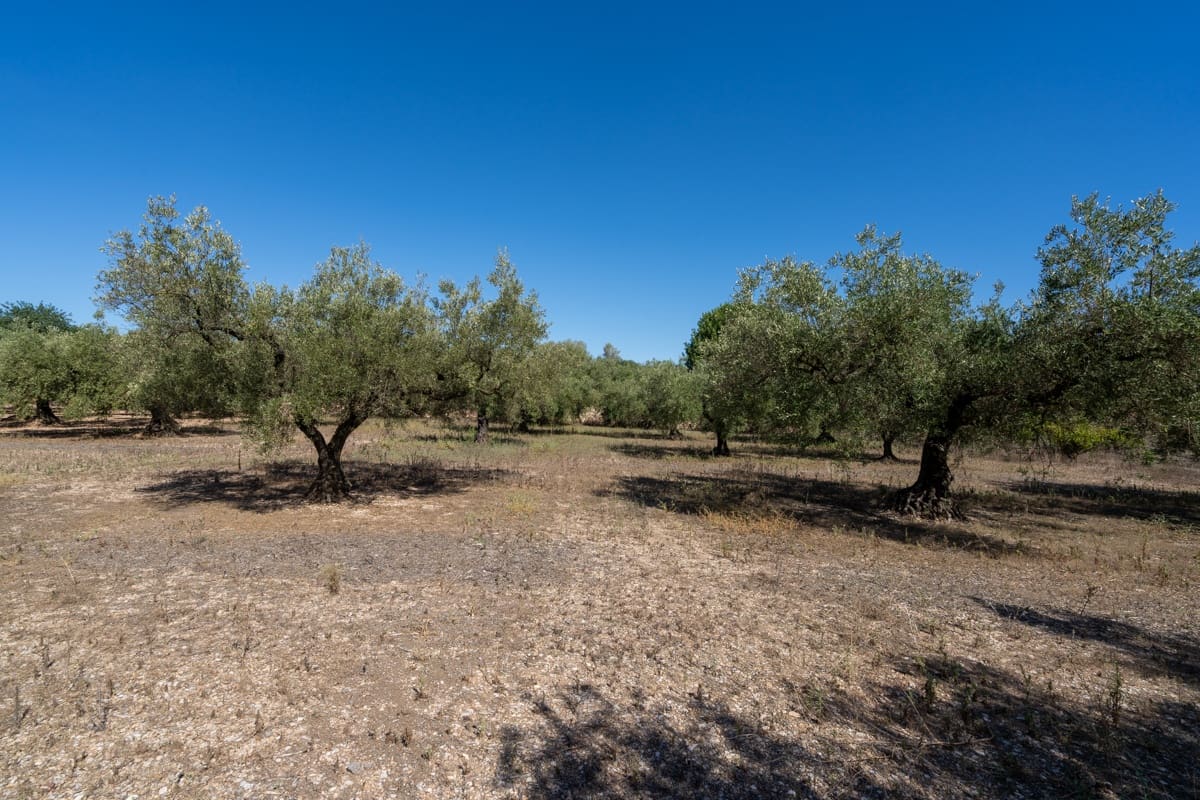 Finca/Maison de Campagne à vendre à La Galera - 10 000 € (Ref: 9216768)