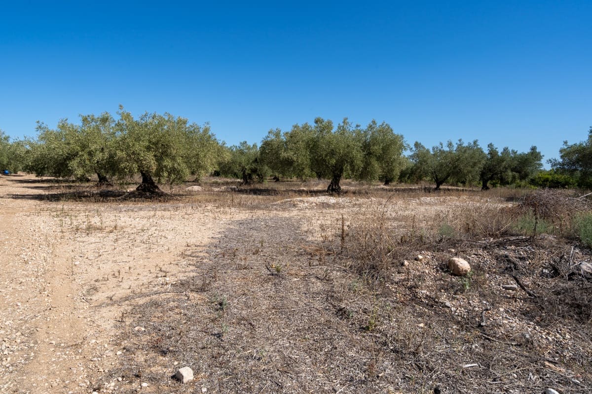 Finca/Maison de Campagne à vendre à La Galera - 10 000 € (Ref: 9216768)