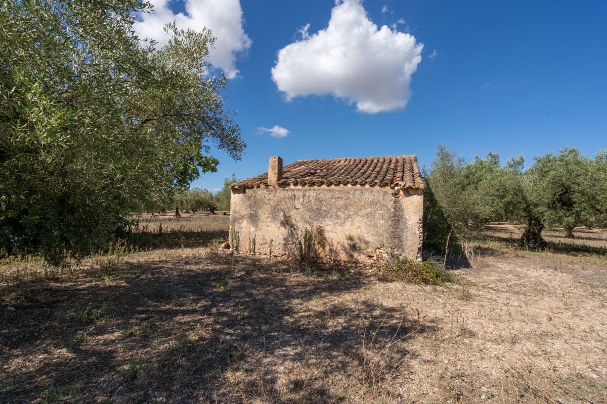 Finca/Maison de Campagne à vendre à La Galera - 10 000 € (Ref: 9216768)