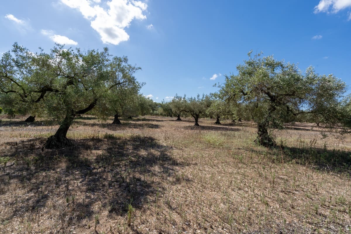 Finca/Maison de Campagne à vendre à La Galera - 10 000 € (Ref: 9216768)
