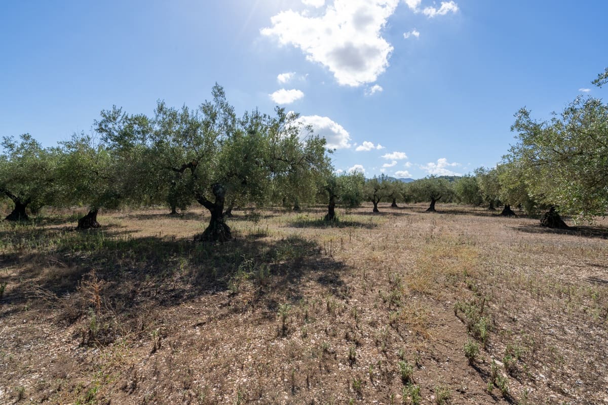 Finca/Maison de Campagne à vendre à La Galera - 10 000 € (Ref: 9216768)