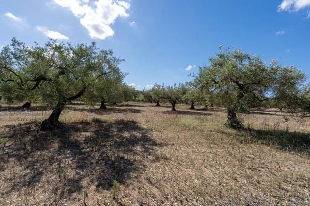 Finca/Landgut zu verkaufen in La Galera - 9.000 € (Ref: 9216768)