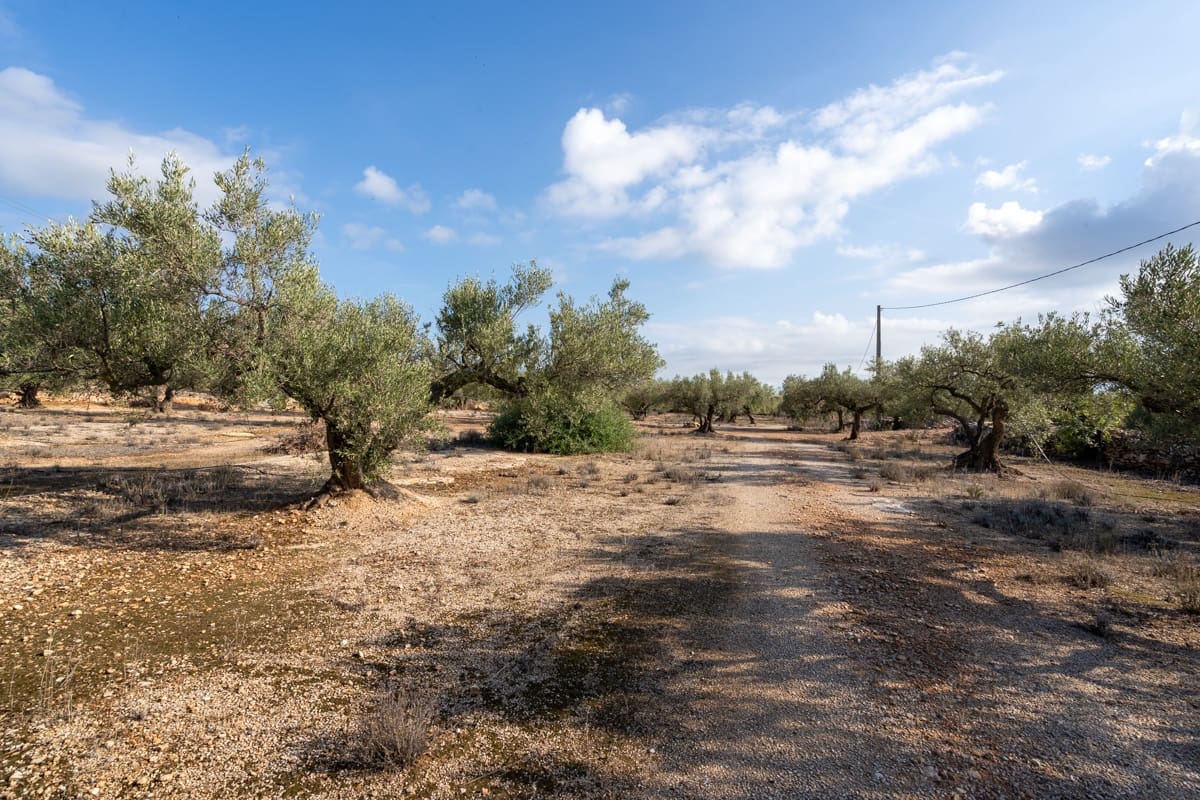 1 soveværelse Finca/Landehus til salg i L'Ampolla - € 140.000 (Ref: 9284066)