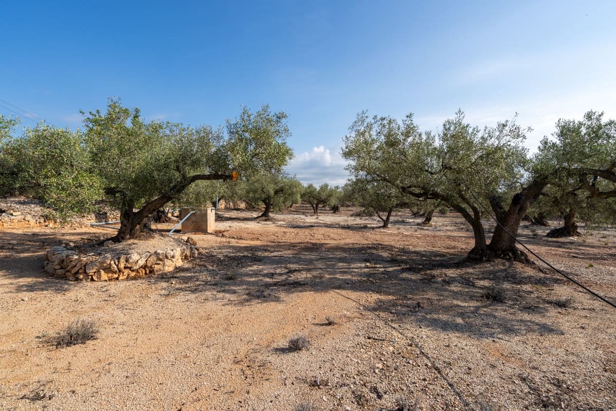 1 soveværelse Finca/Landehus til salg i L'Ampolla - € 140.000 (Ref: 9284066)