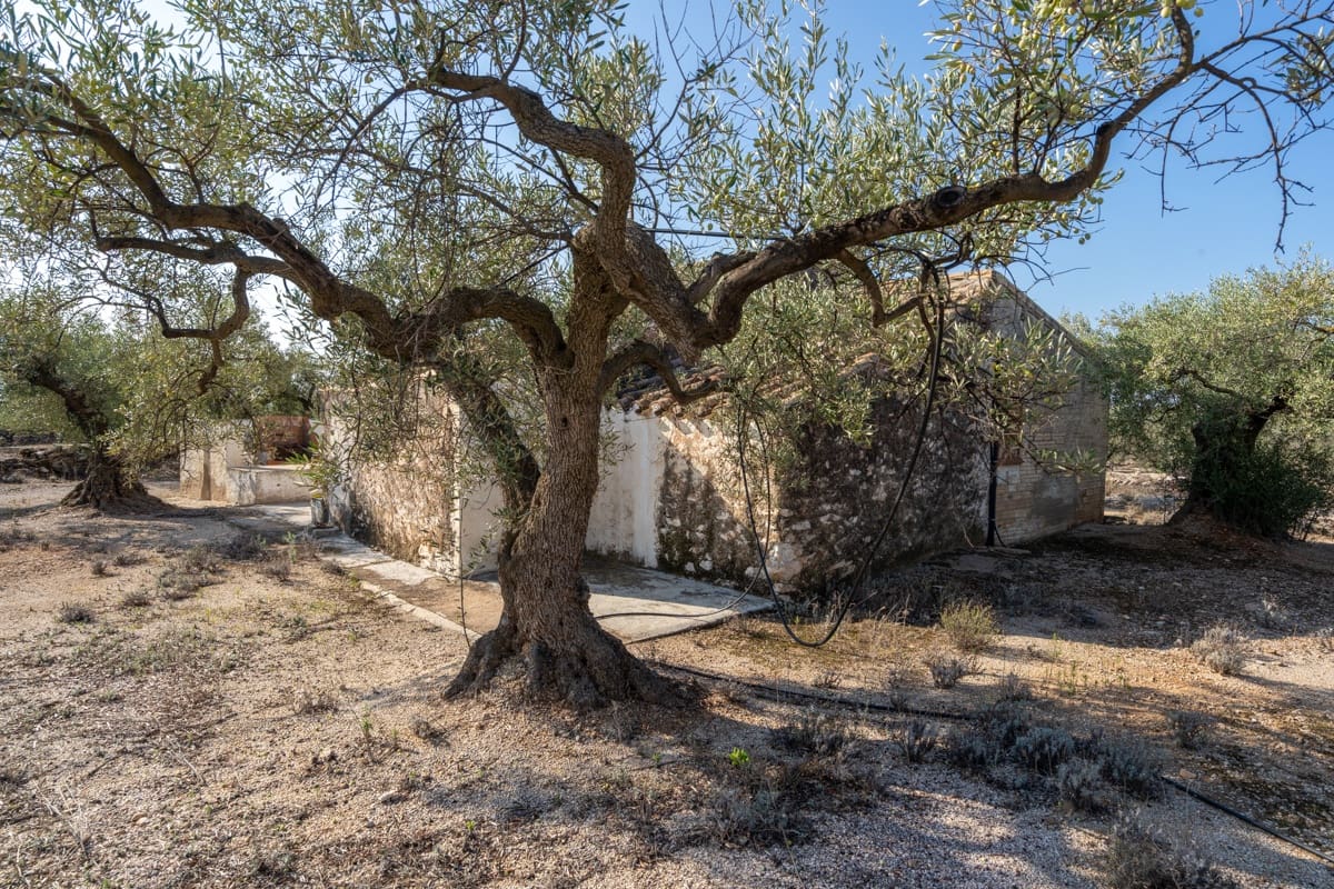 1 soveværelse Finca/Landehus til salg i L'Ampolla - € 140.000 (Ref: 9284066)