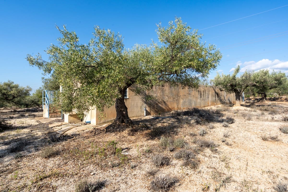 1 soveværelse Finca/Landehus til salg i L'Ampolla - € 140.000 (Ref: 9284066)