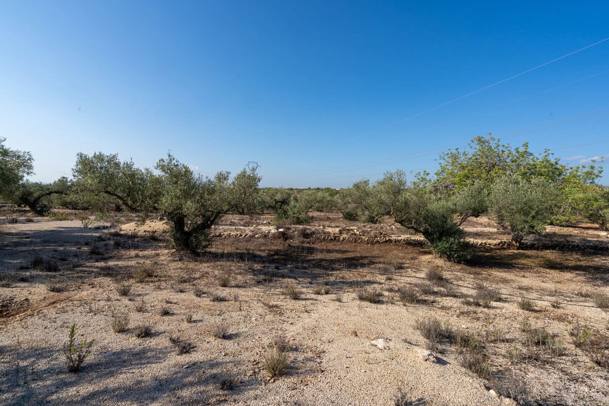 1 bedroom Finca/Country House for sale in L'Ampolla - € 140,000 (Ref: 9284066)