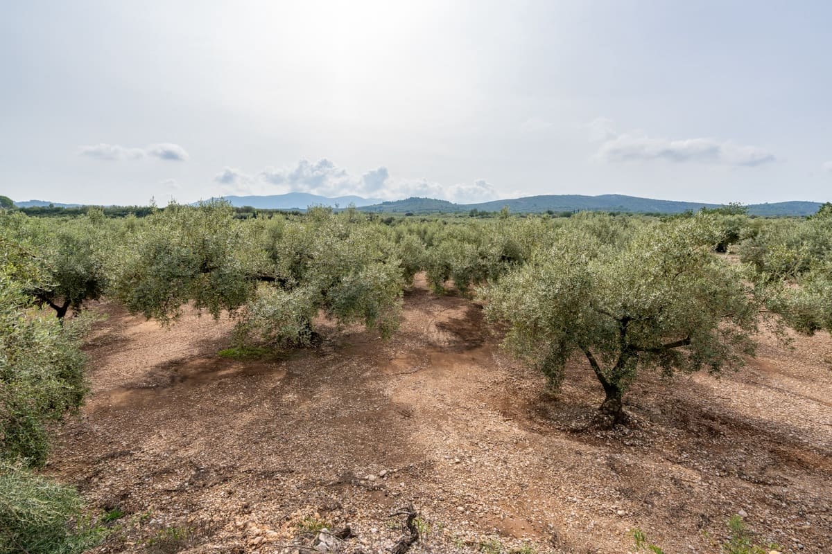 Finka/Dom wiejski na sprzedaż w La Galera - 34 000 € (Ref: 9296421)