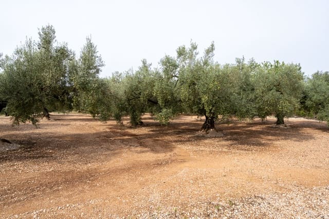 Finca/Country House for sale in La Galera - € 34,000 (Ref: 9296421)