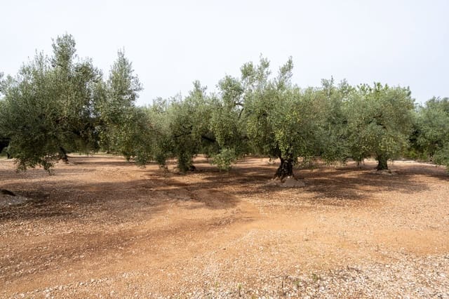 Finca/Landgut zu verkaufen in La Galera - 34.000 € (Ref: 9296421)