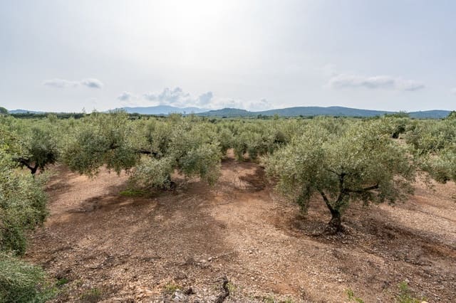 Finca/Landgut zu verkaufen in La Galera - 34.000 € (Ref: 9296421)