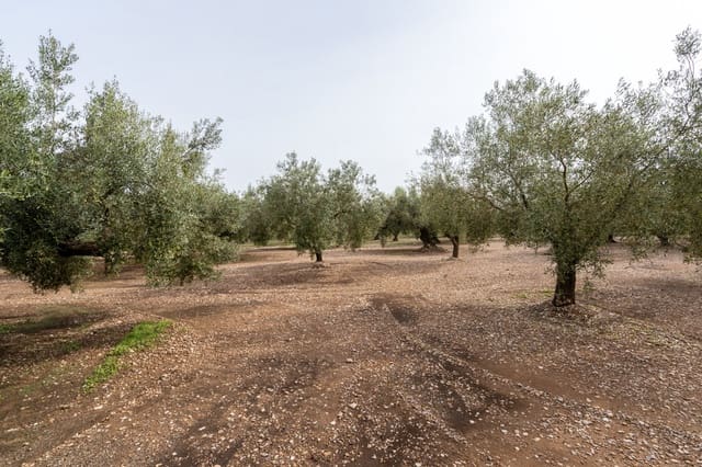 Finca/Landgut zu verkaufen in La Galera - 34.000 € (Ref: 9296421)