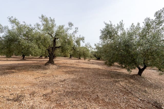 Finca/Landgut zu verkaufen in La Galera - 34.000 € (Ref: 9296421)