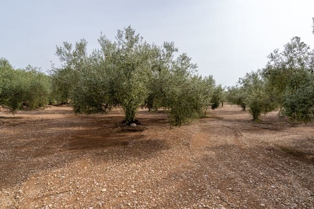 Finca/Landgut zu verkaufen in La Galera - 34.000 € (Ref: 9296421)