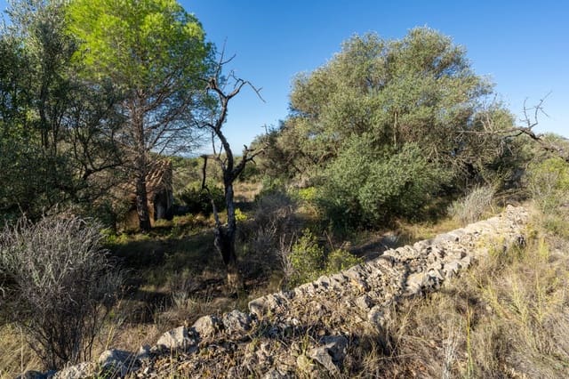 Finca/Casa Rural en Tortosa en venta - 23.000 € (Ref: 9311401)