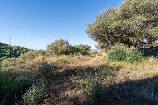 Finca/Casa Rural en Tortosa en venta - 23.000 € (Ref: 9311401)