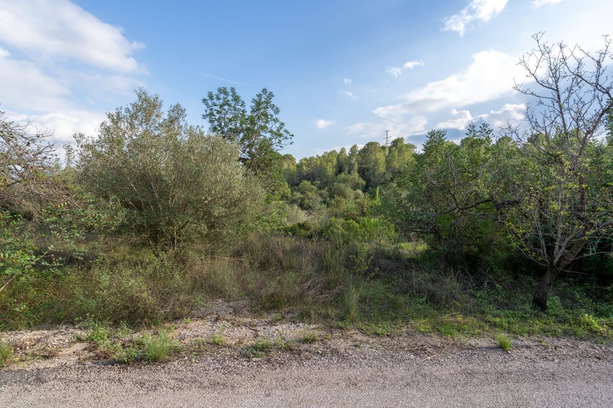 Finka/Dom wiejski na sprzedaż w Tortosa - 39 950 € (Ref: 9318145)