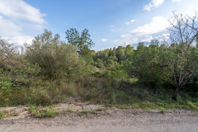 Finca/Casa Rural en Tortosa en venta - 39.950 € (Ref: 9318145)