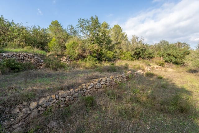 Finca/Casa Rural en Tortosa en venta - 39.950 € (Ref: 9318145)