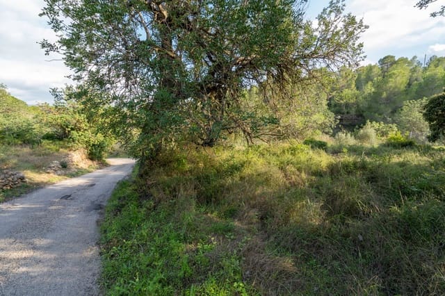 Finca/Casa Rural en Tortosa en venta - 39.950 € (Ref: 9318145)