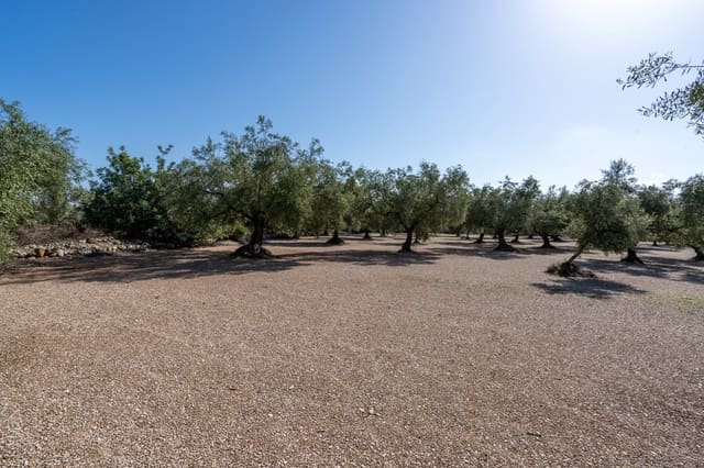 Finca/Herregård til salgs i Ulldecona - € 21 000 (Ref: 9322668)