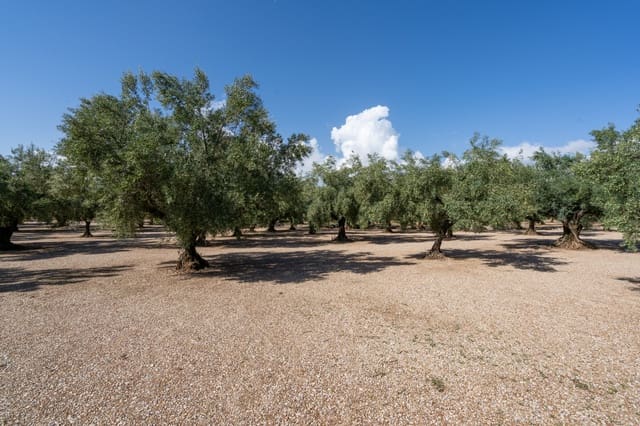 Finca/Herregård til salgs i Ulldecona - € 21 000 (Ref: 9322668)