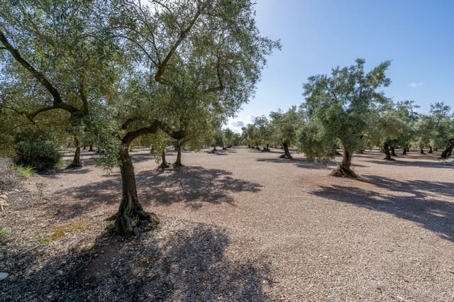 Finca/Herregård til salgs i Ulldecona - € 21 000 (Ref: 9322668)